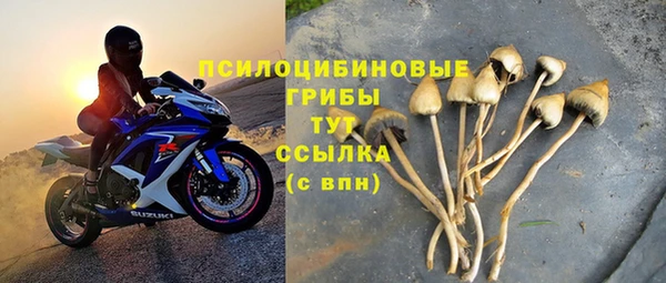 скорость Каменка