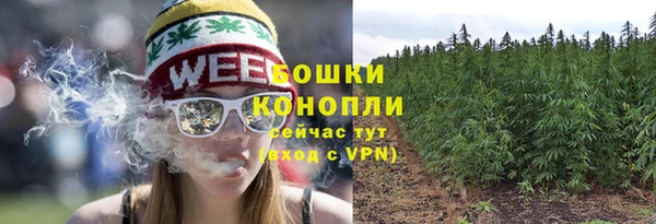 не бодяженный Елабуга