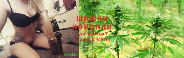 дмт Алексин