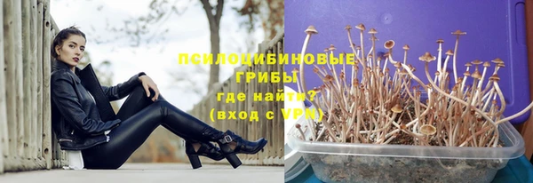 молекула духа Алексеевка
