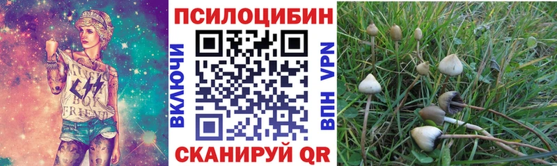 Псилоцибиновые грибы ЛСД  Бакал 