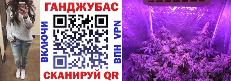 купить закладку  Бакал  Бошки марихуана OG Kush 